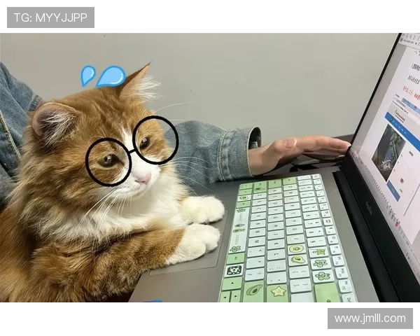 掌敏洁家的猫吃的都比我一个月工资多